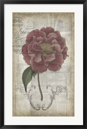 Framed French Floral III Print