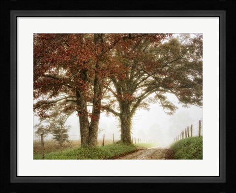 Framed Two Oaks Print