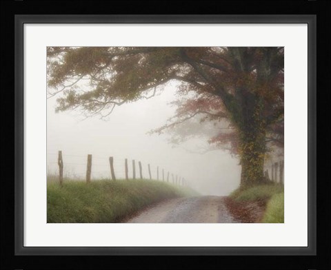 Framed Blanket of Fog Print