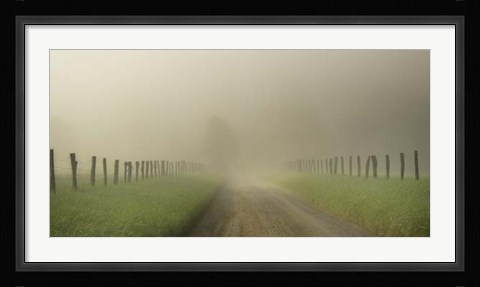 Framed Vanishing Print