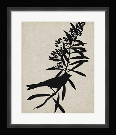 Framed Audubon Silhouette I Print