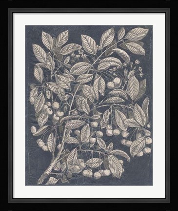 Framed Vintage Fruit &amp; Floral III Print
