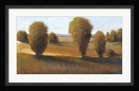 Framed Afternoon Light II Print