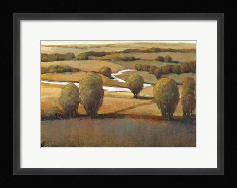 Framed Afternoon Light III Print