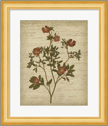 Framed Romantic Pressed Flowers I Print