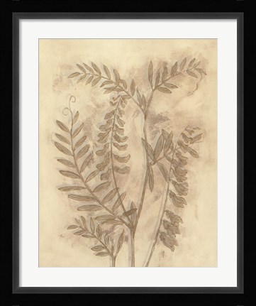 Framed Gilded Foliage I Print