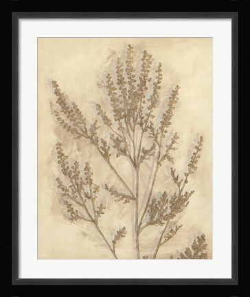 Framed Gilded Foliage II Print