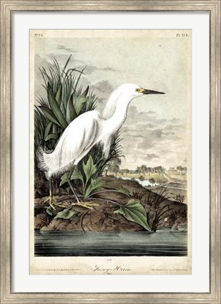 Framed Snowy Heron Print