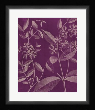 Framed Modern Botany III Print