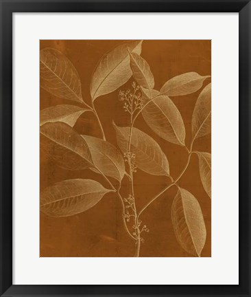 Framed Modern Botany VI Print
