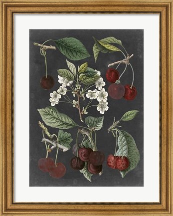 Framed Orchard Varieties I Print