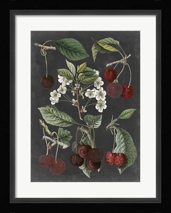 Framed Orchard Varieties I Print