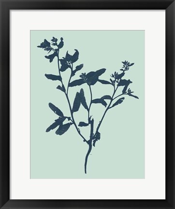 Framed Indigo &amp; Mint Botanical Study VII Print