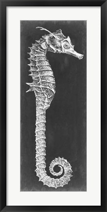 Framed Seahorse Blueprint II Print