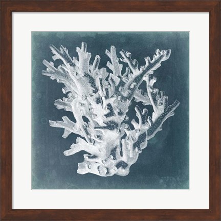 Framed Azure Coral I Print