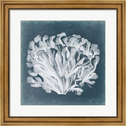 Framed Azure Coral III Print