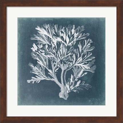 Framed Azure Coral IV Print