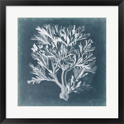 Framed Azure Coral IV Print