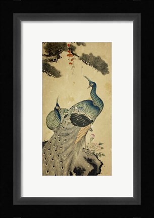 Framed Korean Peacocks Print