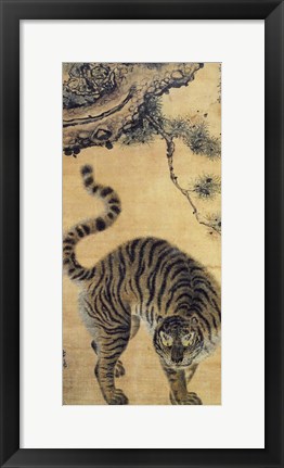 Framed Tiger Under the Pine Tree Print