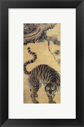 Framed Tiger Under the Pine Tree Print