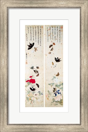 Framed Butterflies - script Print