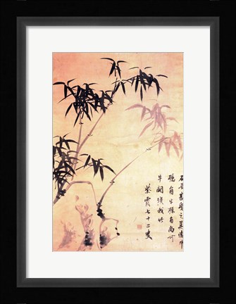 Framed Sin Wi, Bamboos Print