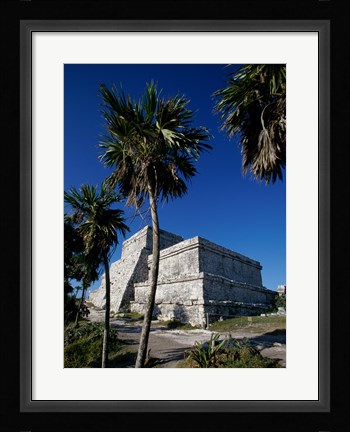 Framed Palm trees near El Castillo Print