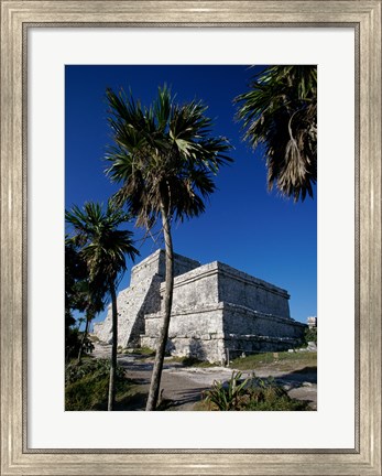 Framed Palm trees near El Castillo Print