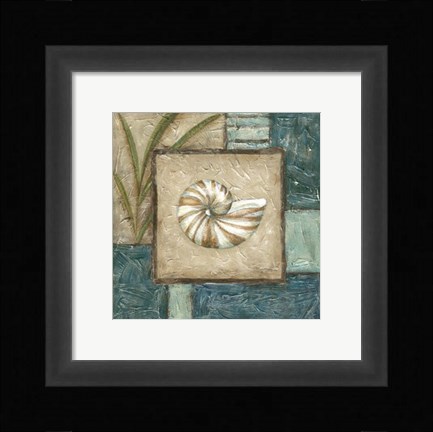 Framed Shell Montage I Print