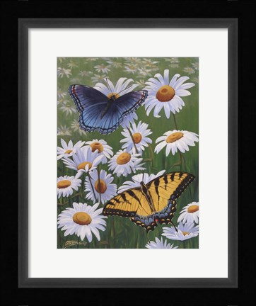 Framed Butterflies &amp; Daisies Print