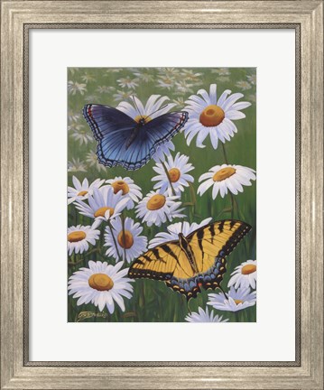 Framed Butterflies &amp; Daisies Print