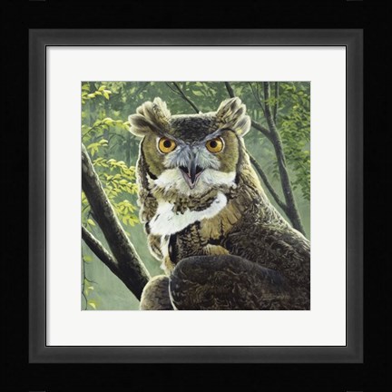 Framed Great Horned Owl Print