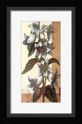 Framed French Blue I Print