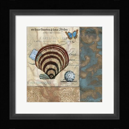 Framed Botticelli Shell II Print