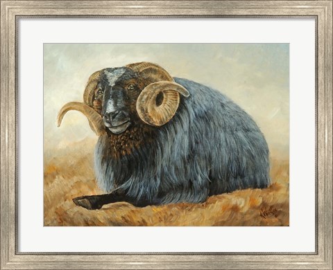 Framed Baa Baa Black Sheep Print