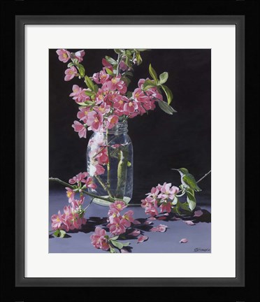 Framed Quince &amp; Ruby II Print