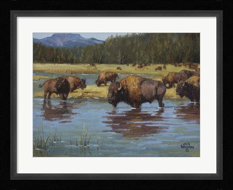 Framed Buffalo Crossing Print