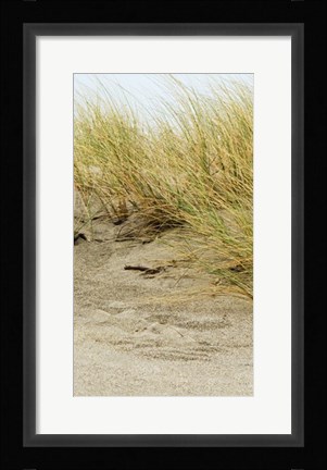 Framed Dunes III Print