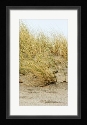 Framed Dunes IV Print