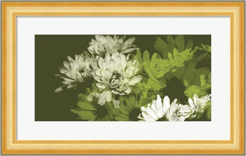 Framed Daisy Garden II Print