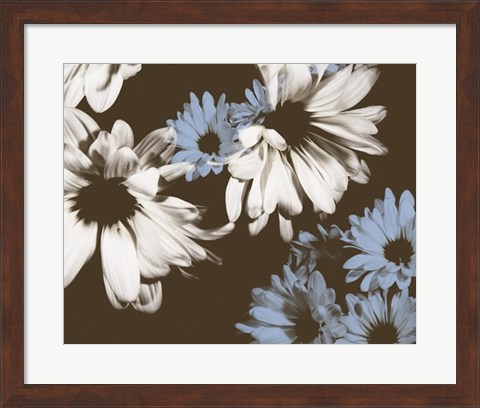 Framed Chocolate Bloom I Print