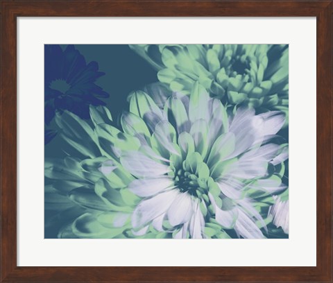 Framed Teal Bloom II Print