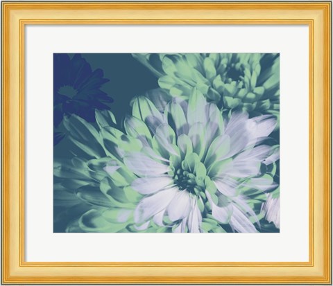 Framed Teal Bloom II Print