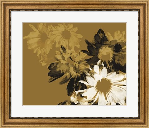 Framed Golden Bloom II Print