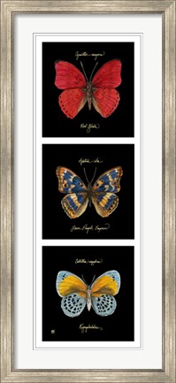Framed Primary Butterfly Panel I Print