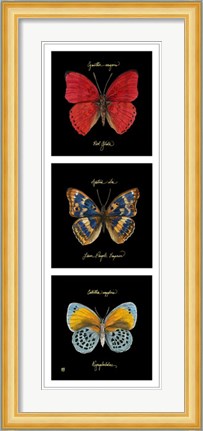 Framed Primary Butterfly Panel I Print