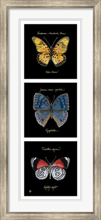Framed Primary Butterfly Panel II Print