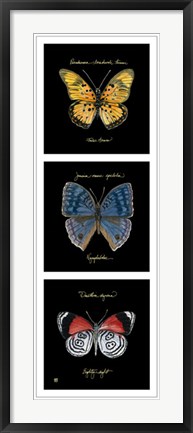 Framed Primary Butterfly Panel II Print
