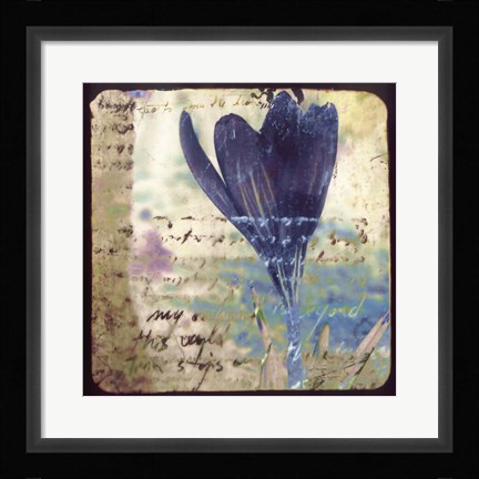Framed Blooming Purple I Print